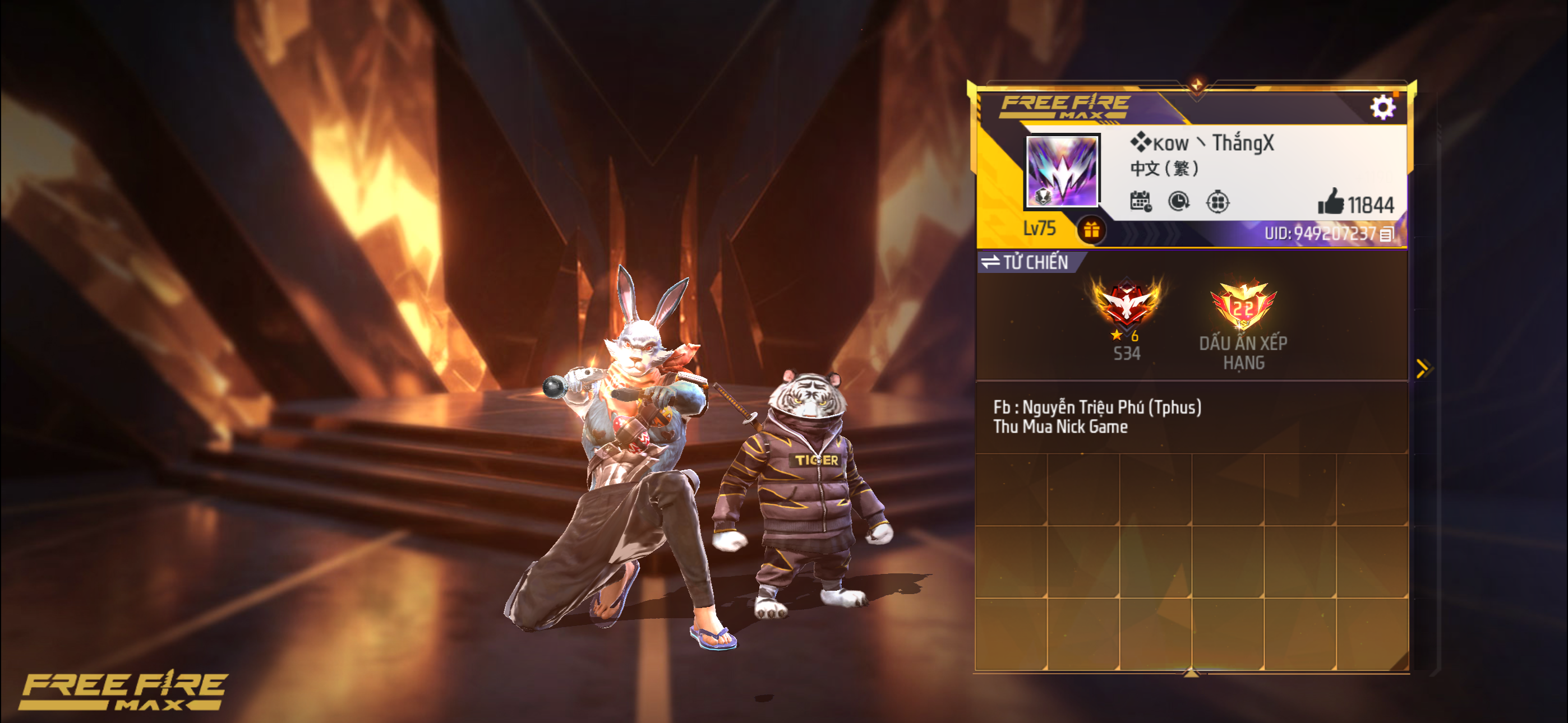 Account Preview