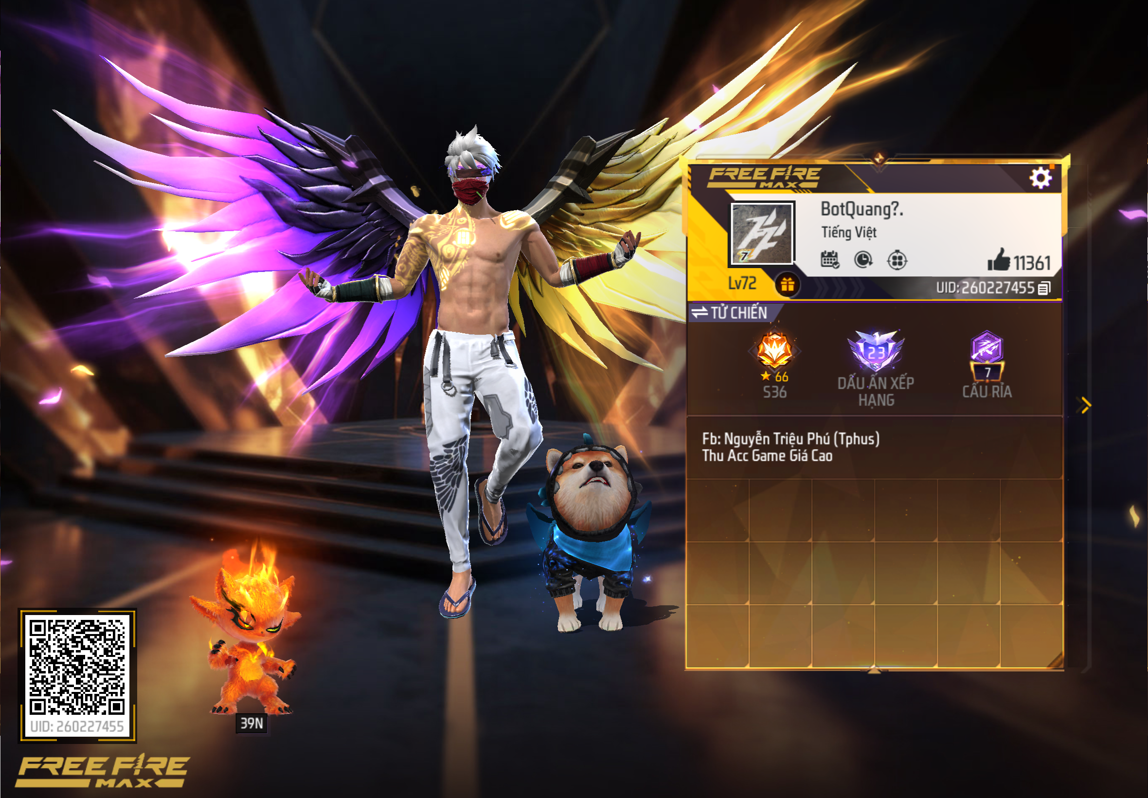 Account Preview